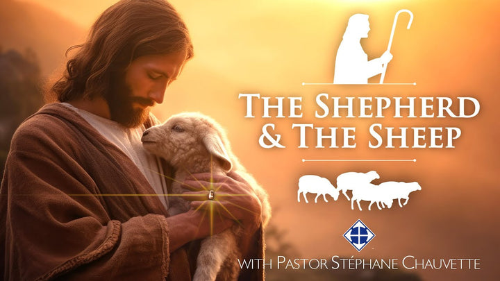 Discovering The Footsteps of God