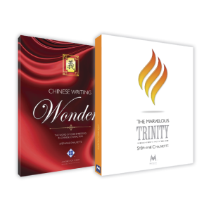 THE MARVELOUS TRINITY & CHINESE WRITING WONDERS BUNDLE